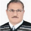 Mohamed Mohamed Mahmoud Elsayed Nasef - Prof Dr (ACAD/UTP)